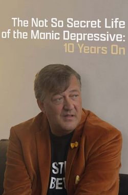The Not So Secret Life of the Manic Depressive: 10 Years On