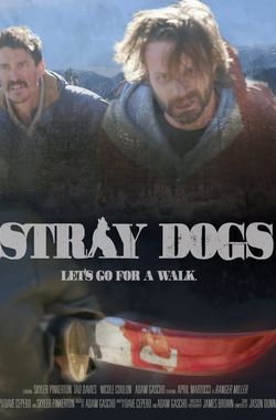 Stray Dogs