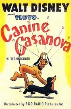 Canine Casanova