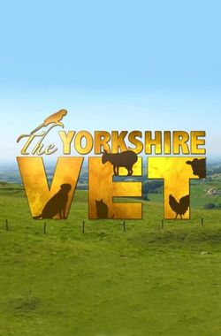 The Yorkshire Vet