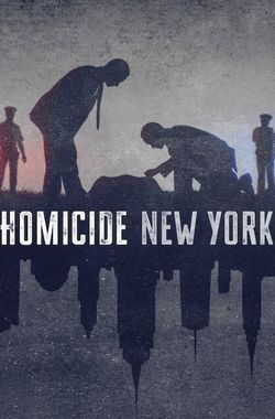 Homicide: New York