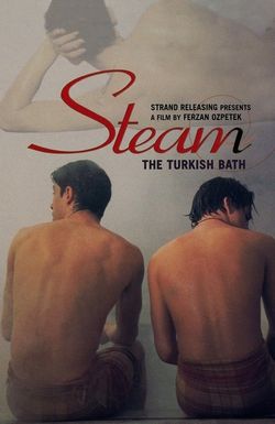 Steam: The Turkish Bath
