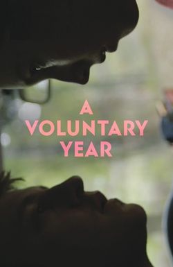 A Voluntary Year