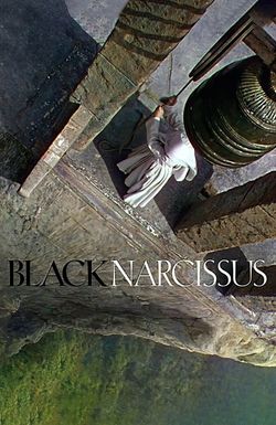 Black Narcissus