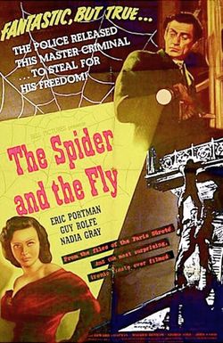 The Spider and the Fly