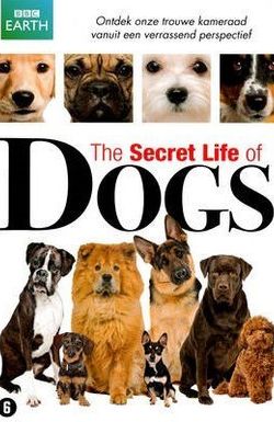 Secret Life of Dogs