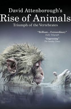 Rise of Animals: Triumph of the Vertebrates