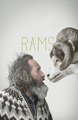 Rams