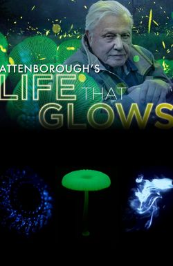 Attenborough's Life That Glows