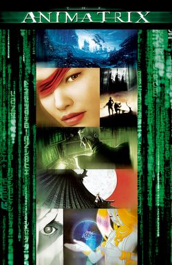 The Animatrix