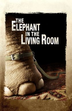 The Elephant in the Living Room