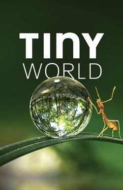 Tiny World