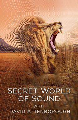 Secret World of Sound with David Attenborough