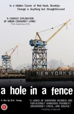 A Hole in a Fence