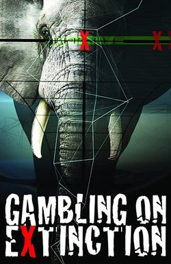Gambling on Extinction