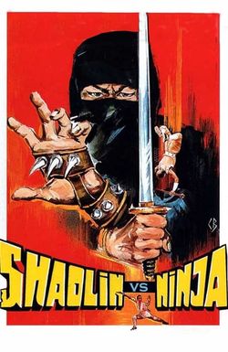 Ninja vs. Shaolin