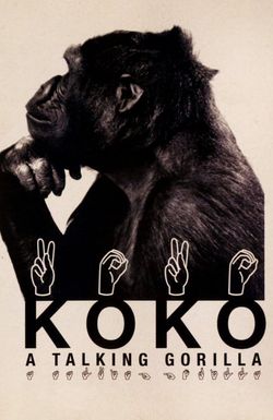 Koko: A Talking Gorilla