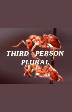 Third Person Plural
