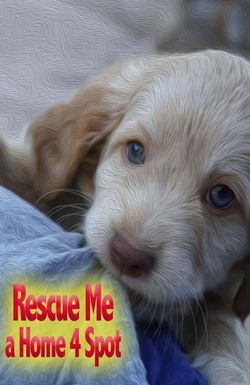 Rescue Me: A Home 4 Spot