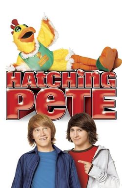 Hatching Pete
