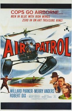 Air Patrol