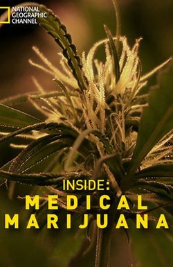 Inside: Medical Marijuana