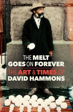 The Melt Goes on Forever: The Art & Times of David Hammons