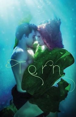 Torn: A Wicked Trilogy