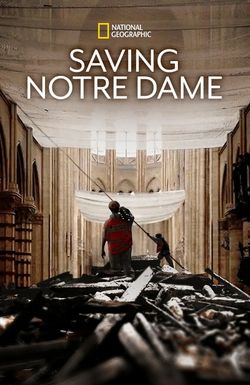 Saving Notre-Dame (2020) (TV)