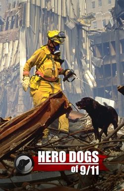 Hero Dogs of 9/11 (Documentary Special)