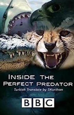 Inside the Perfect Predator