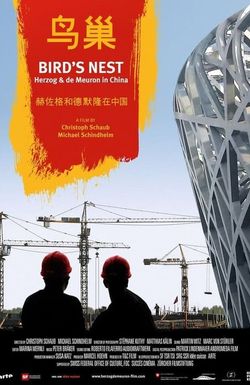 Bird's Nest - Herzog & De Meuron in China