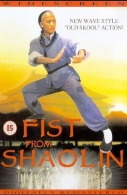 Fist from Shaolin