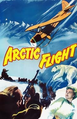 Arctic Flight