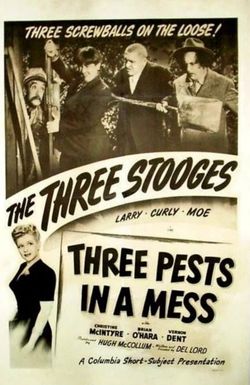 Three Pests in a Mess