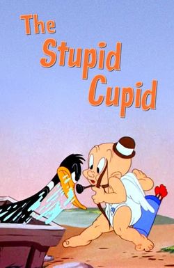 The Stupid Cupid