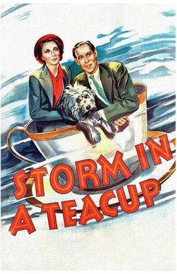 Storm in a Teacup