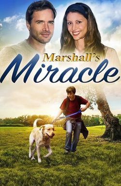Marshall the Miracle Dog