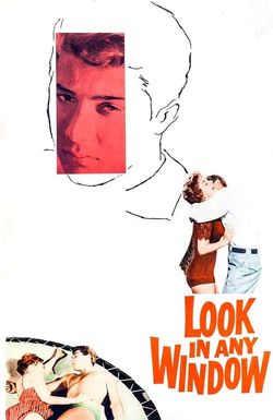 Look in Any Window