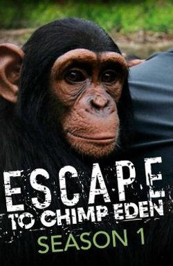 Escape to Chimp Eden