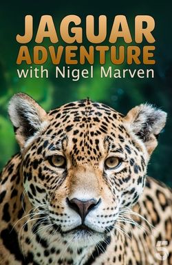 Jaguar Adventure with Nigel Marven