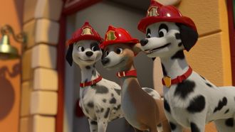 Episode 8 Firedogs to the Rescue!/Pup-Up Playground