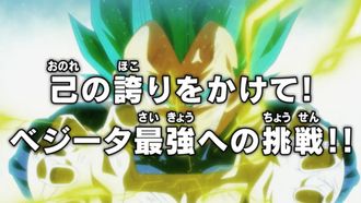 Episode 122 For One's Own Pride! Vegeta's Challenge to Be The Strongest!!