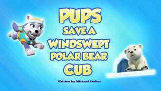 Episode 30 Pups Save a Windswept Polar Bear Cub