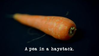 Episode 1 Pea in a Haystack