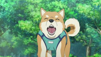 Episode 1081 My Beloved Dog Pan-kun Is a Good Boy