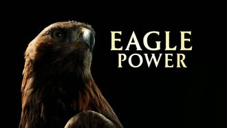 Episode 8 Eagle Power