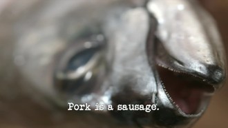 Episode 2 Pork Is a Sausage