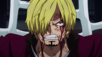 Episode 1020 Sanji's Scream! An SOS Echoes Over the Island!