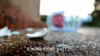 Episode 5 A Wind-Dried Puffin